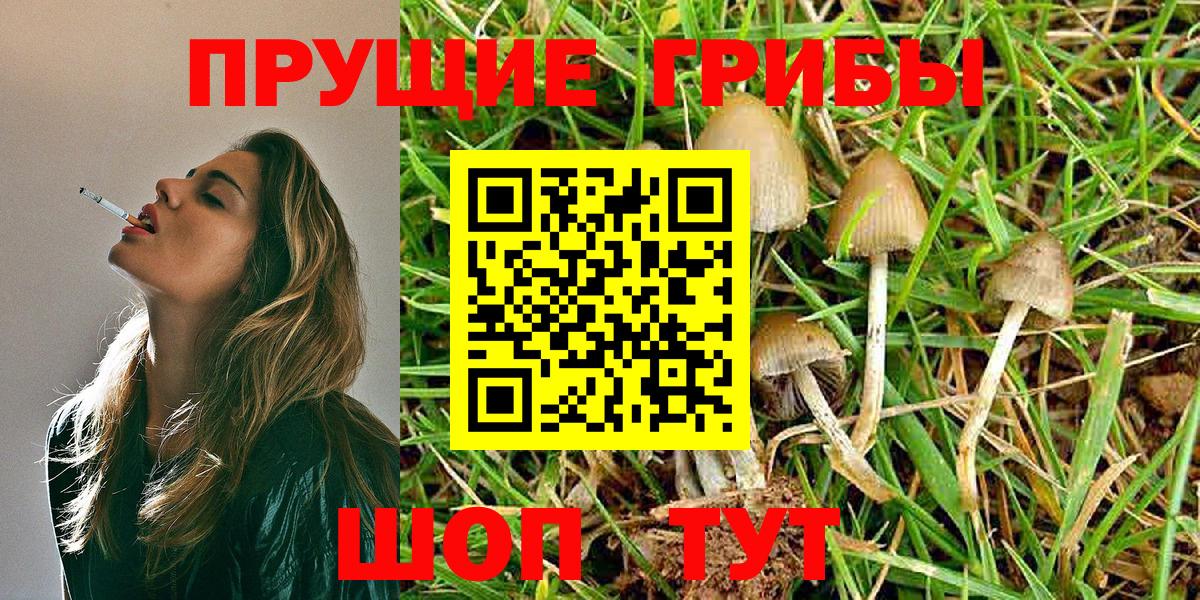 Псилоцибиновые грибы Cubensis  Псилоцибиновые грибы MAGIC MUSHROOMS  Вход с VPN  Энгельс 