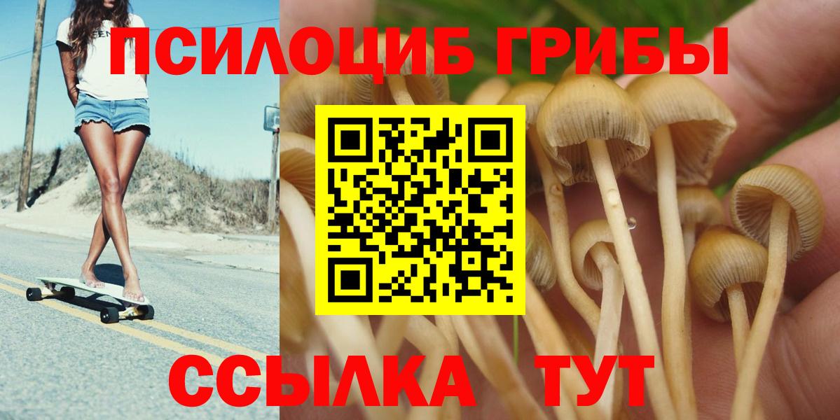Галлюциногенные грибы Psilocybine cubensis Энгельс